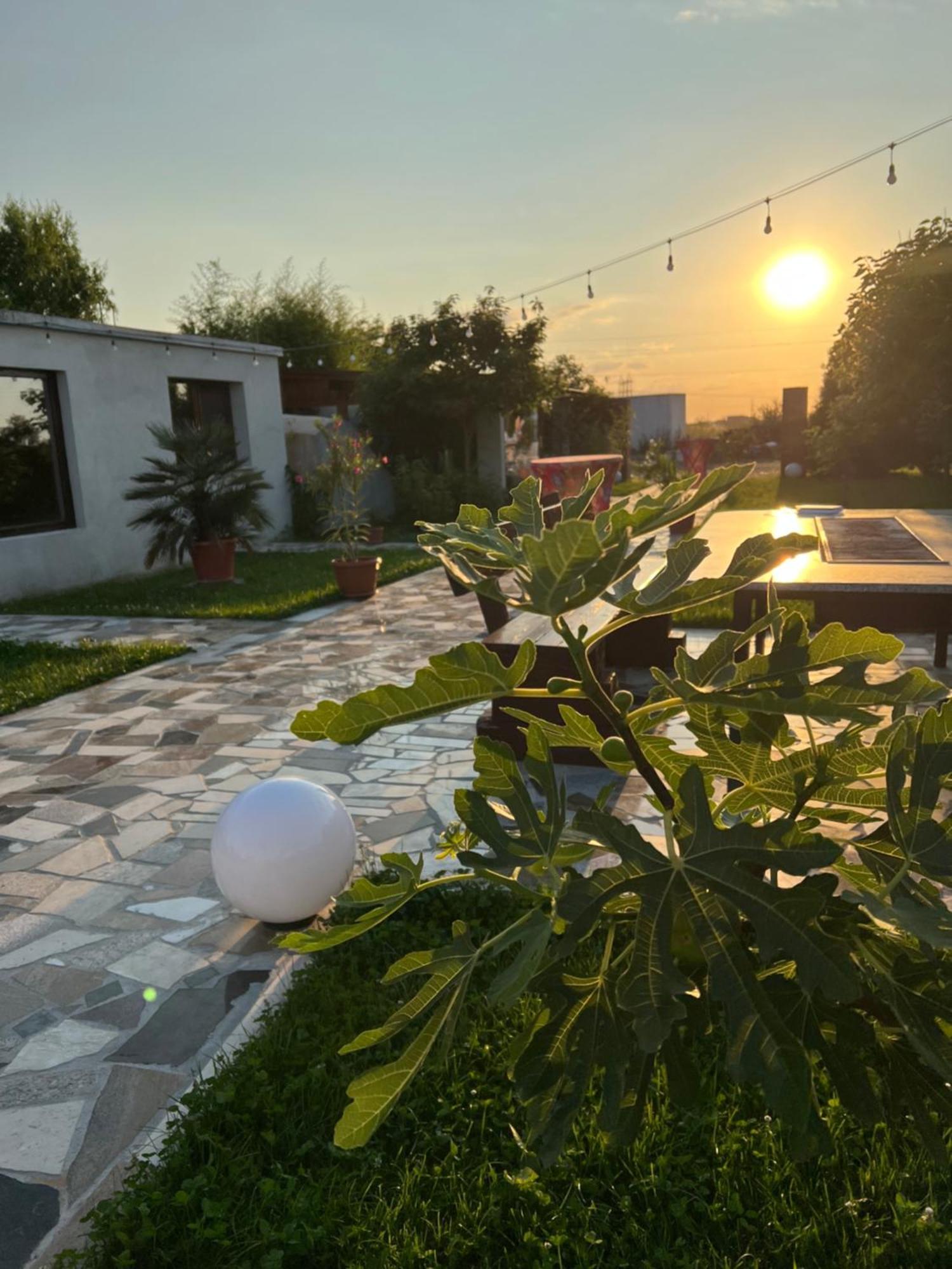 Appartement La Casa Blanca à Vladimirescu Extérieur photo
